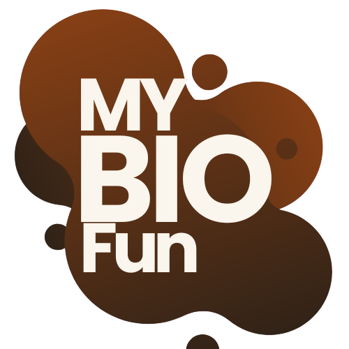 My bio fun