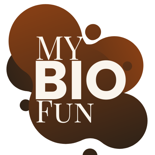 My bio fun